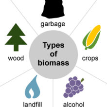 biomass